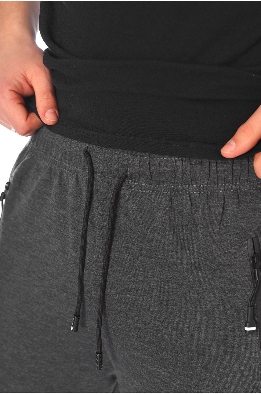 Спортивні штани чоловічі сірого кольору 1402-1 198345