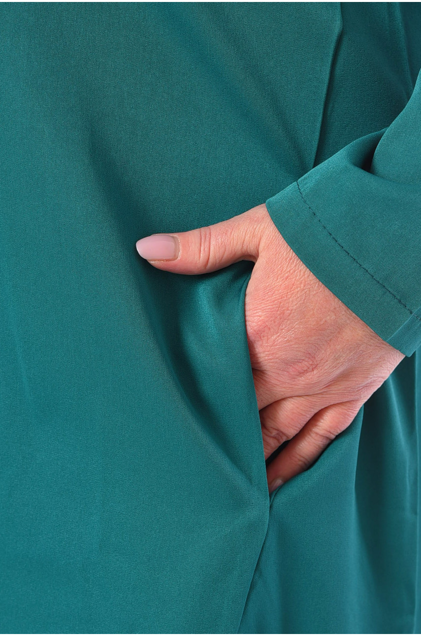 Сукня жіноча напівботальна зеленого кольору 067 199293