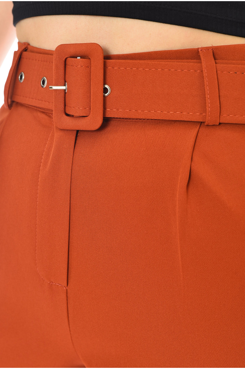 Брюки жіночі класичні коричневого кольору 2255 199887 Брюки жіночі класичні коричневого кольору 2255 199887