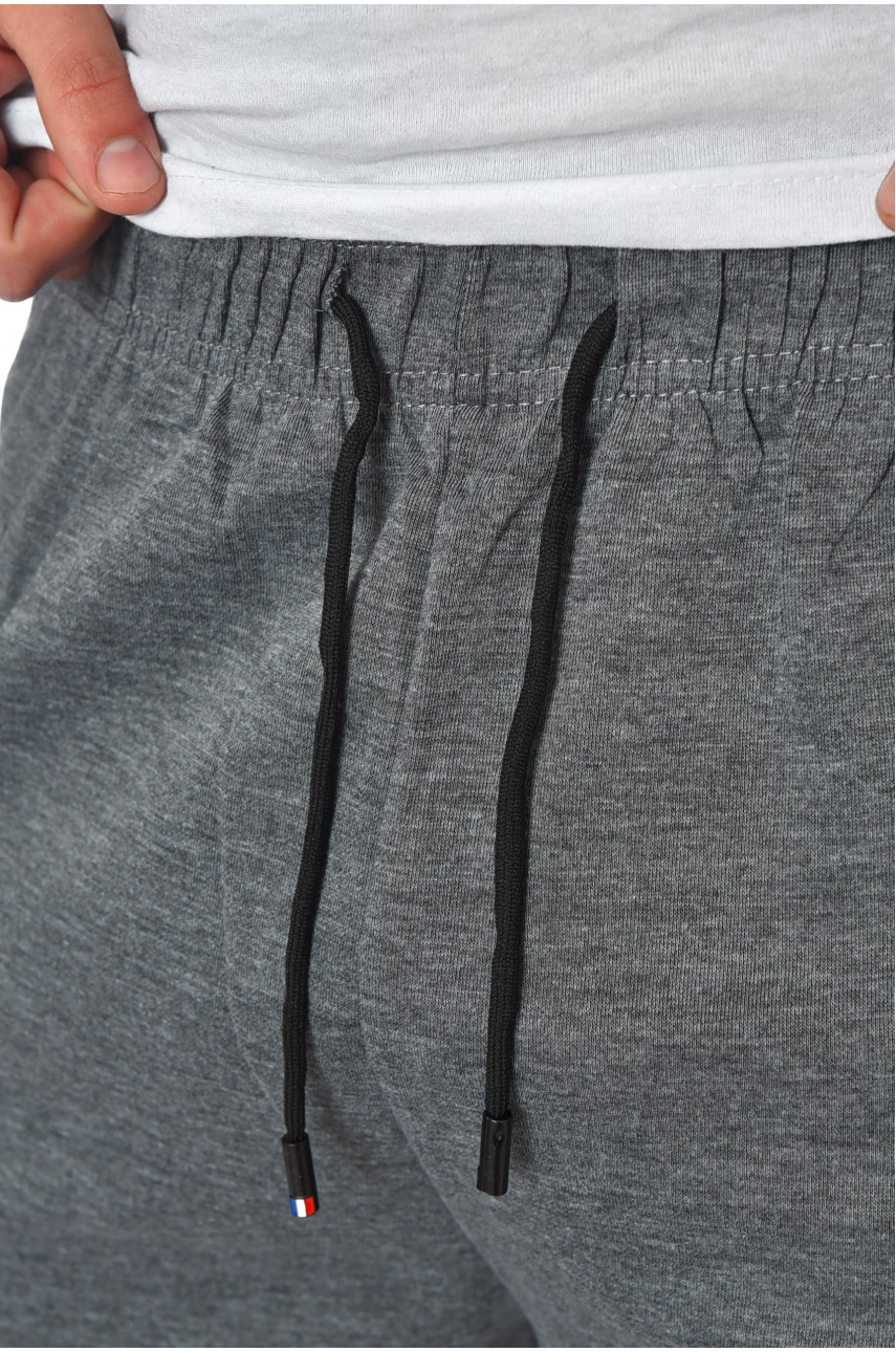 Шорты мужские темно-серого цвета 1175 199899 Шорты мужские темно-серого цвета 1175 199899