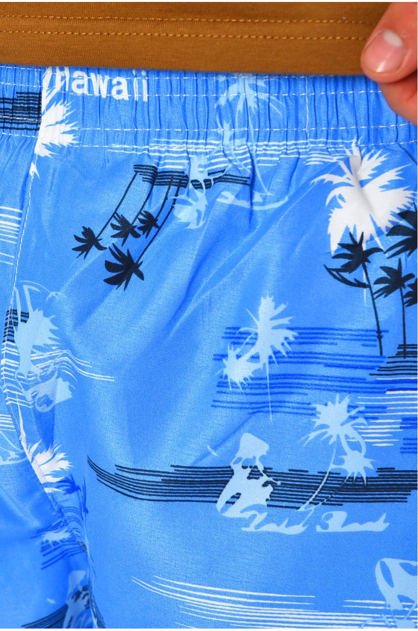 Шорты мужские голубого цвета с принтом DK6339 199946