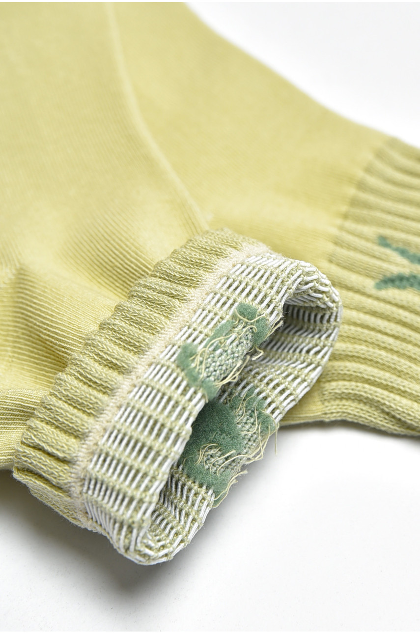 Носки женские демисезонные светло-зеленого цвета BJ-507 200783