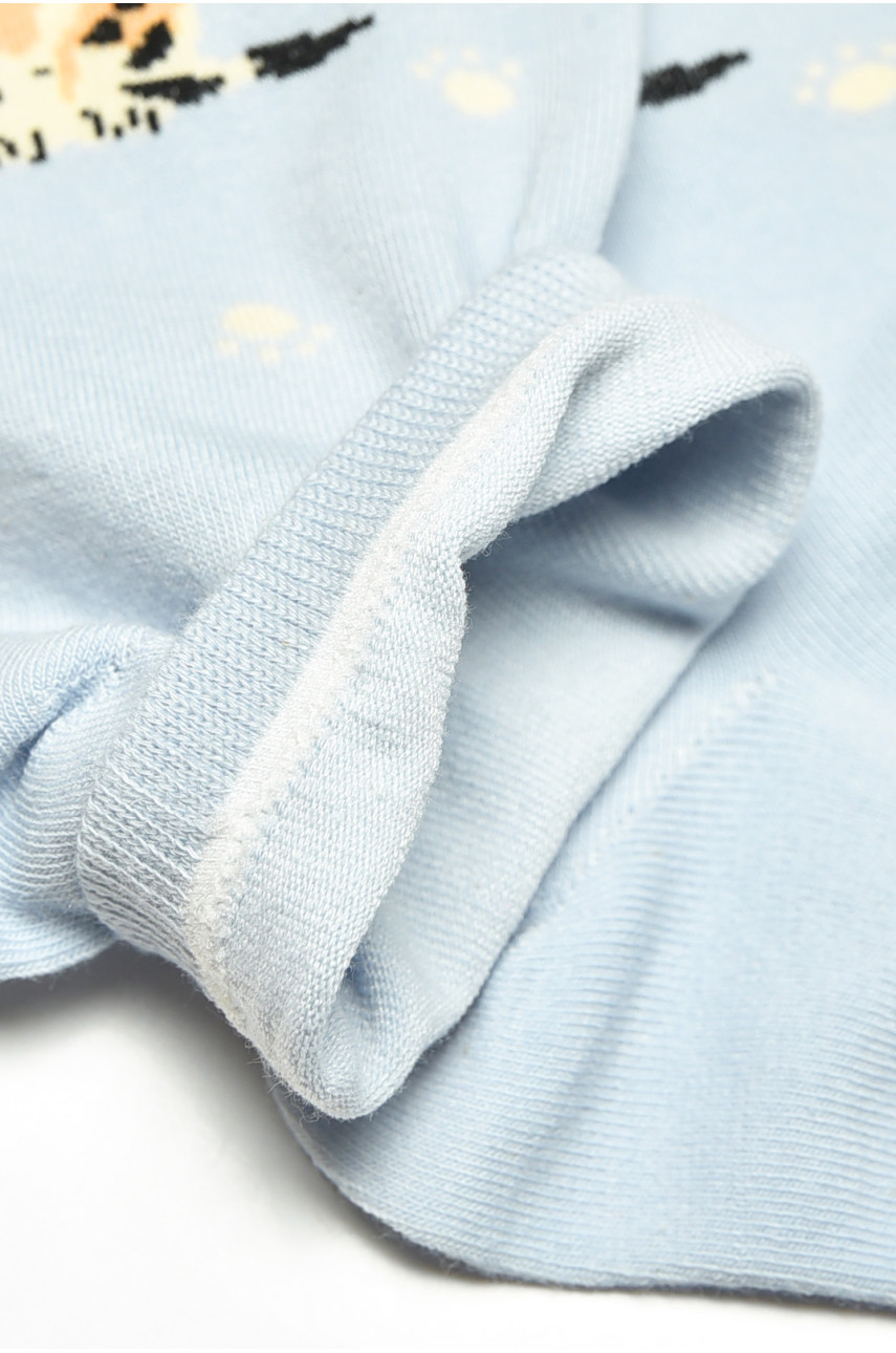 Носки женские демисезонные спортивные голубого цвета BY819 200810