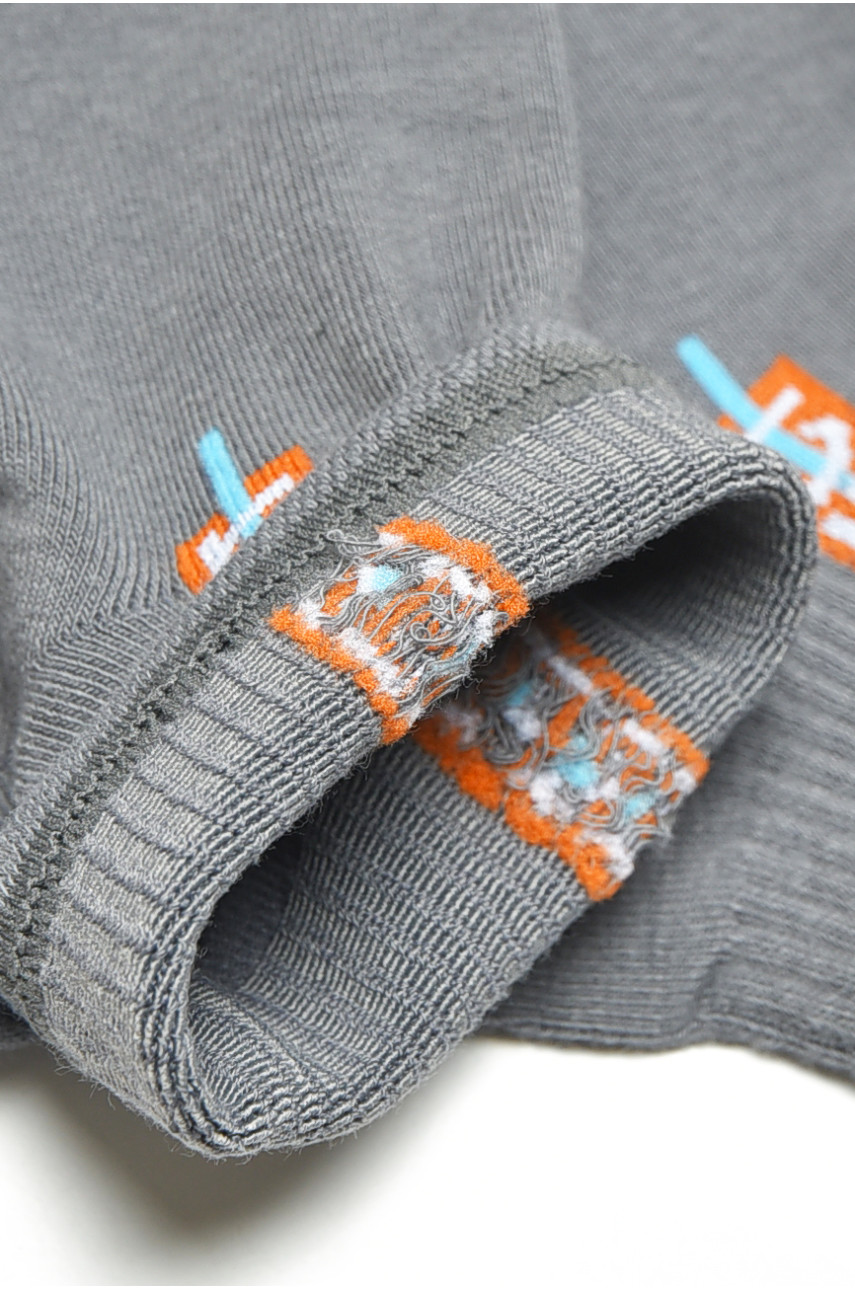 Шкарпетки жіночі спортивні демісезонні темно-сірого кольору LA8806-2 200839 Шкарпетки жіночі спортивні демісезонні темно-сірого кольору LA8806-2 200839