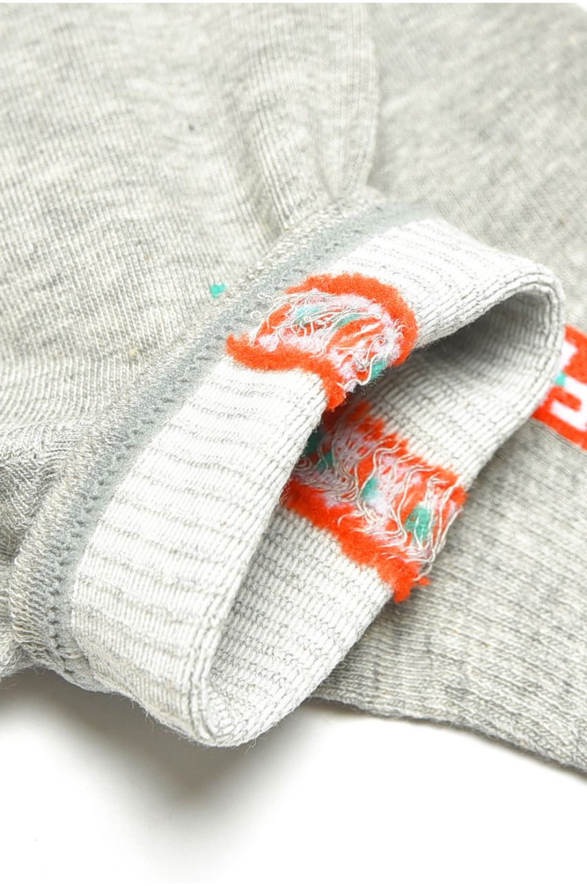 Носки женские демисезонные спортивные серого цвета LA8806-2 200840