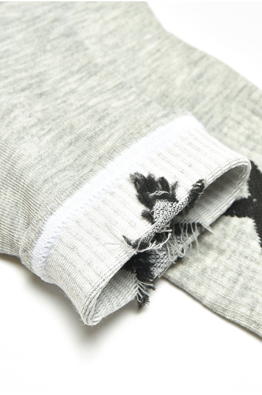 Шкарпетки підліток демісезонні сірого кольору CS066 200878