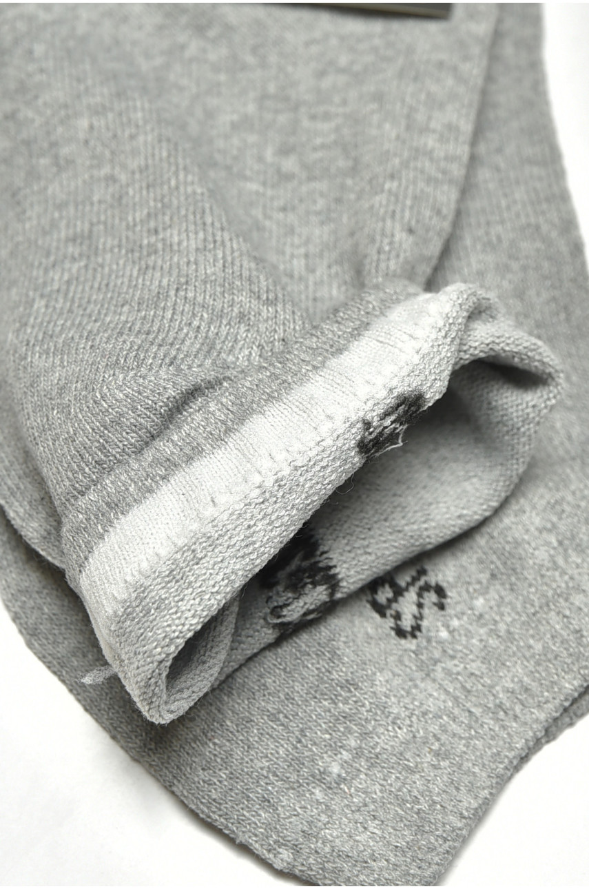 Носки мужские демисезонные спортивные серого цвета F521 200900 Носки мужские демисезонные спортивные серого цвета F521 200900