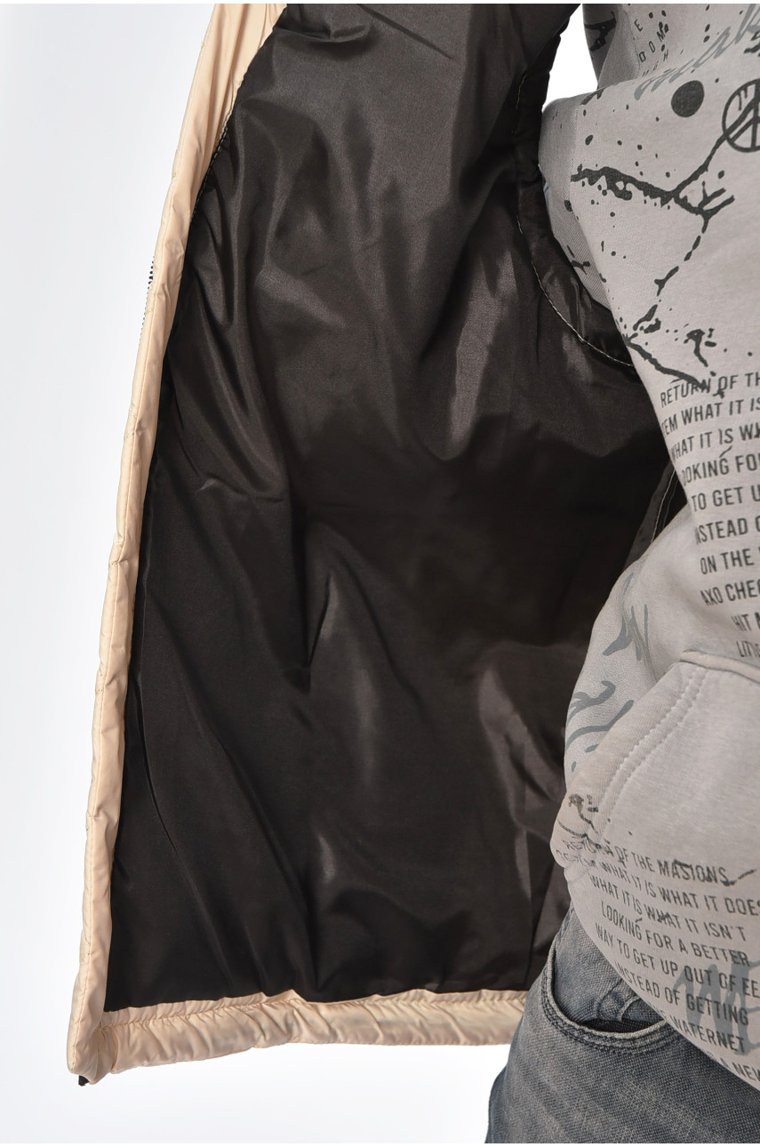 Жилетка мужская демисезонная бежевого цвета JT004 201258