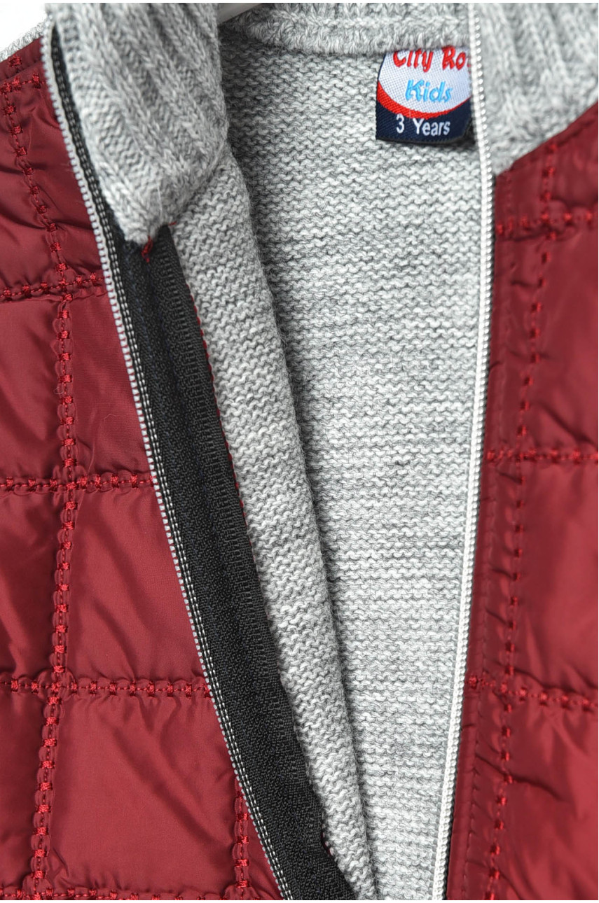 Кофта дитяча для хлопчика сіро-бордового кольору 2585 201397