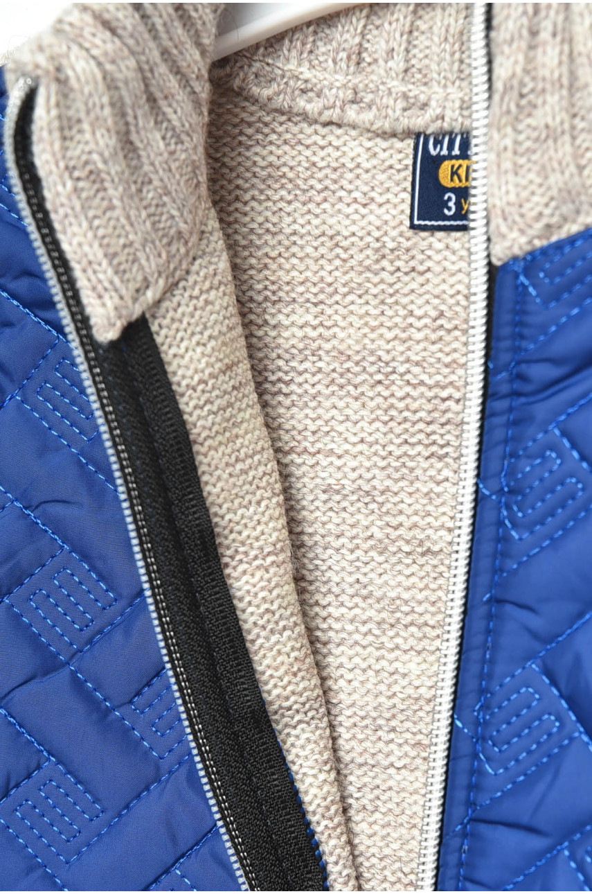 Кофта дитяча для хлопчика бежево-синього кольору 2580 201401