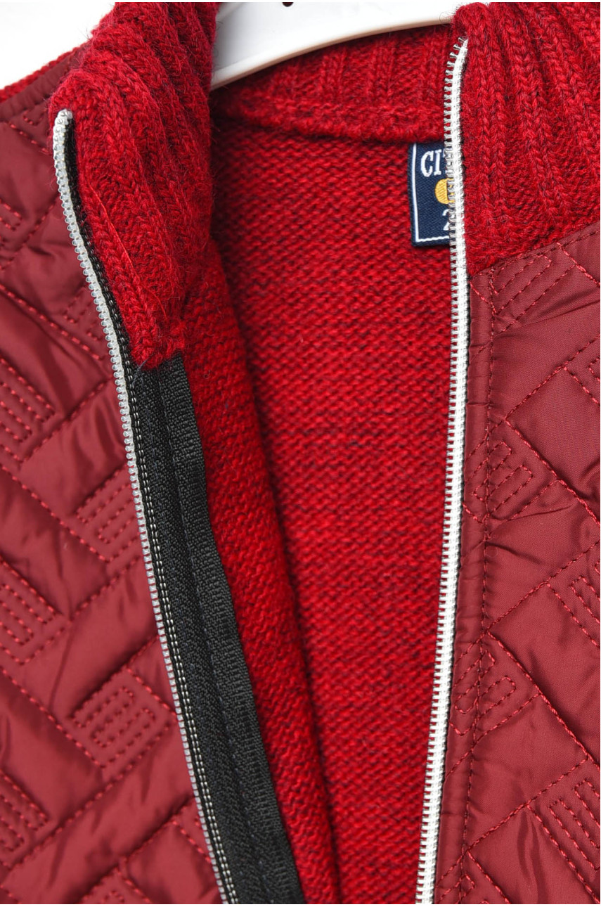 Кофта дитяча для хлопчика бордового кольору 2580 201403