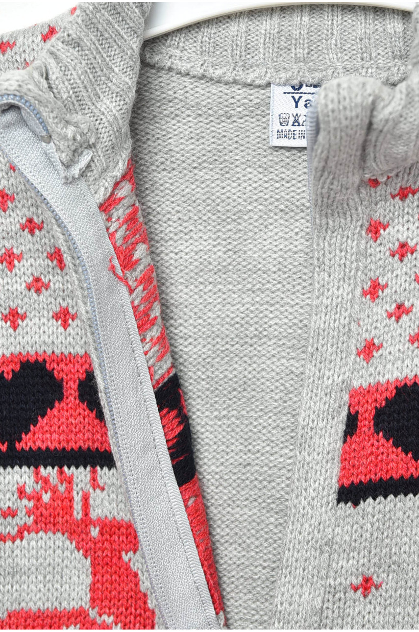 Кофта дитяча для хлопчика сірого кольору OZ-KA 201415