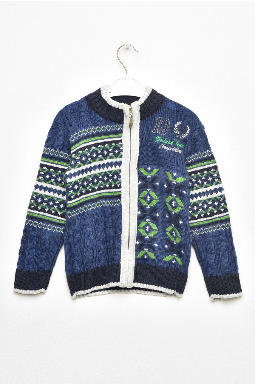 Кофта дитяча для хлопчика синього кольору 201431