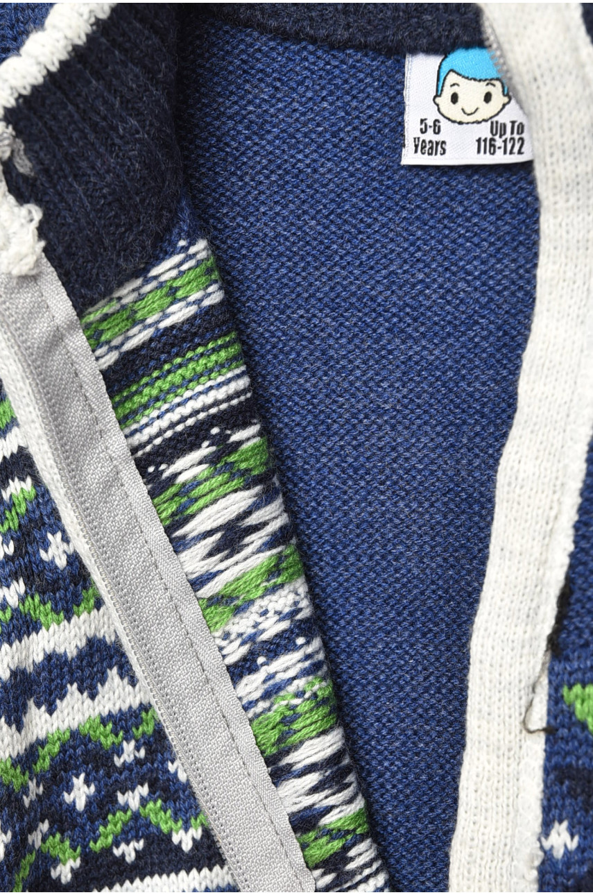 Кофта дитяча для хлопчика синього кольору 201431