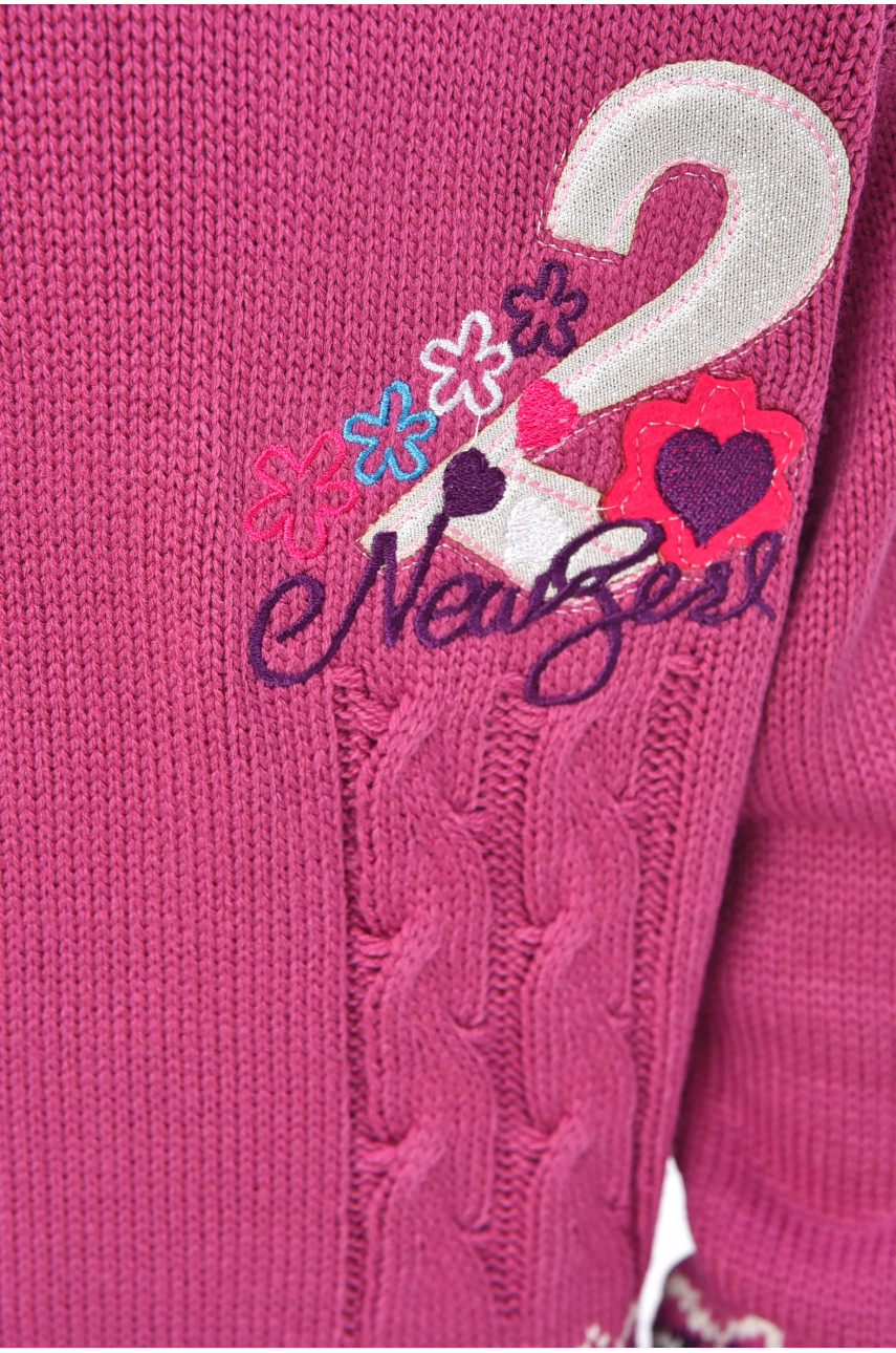 Светр дитячий для дівчинки темно-бузкового кольору 4002 201646