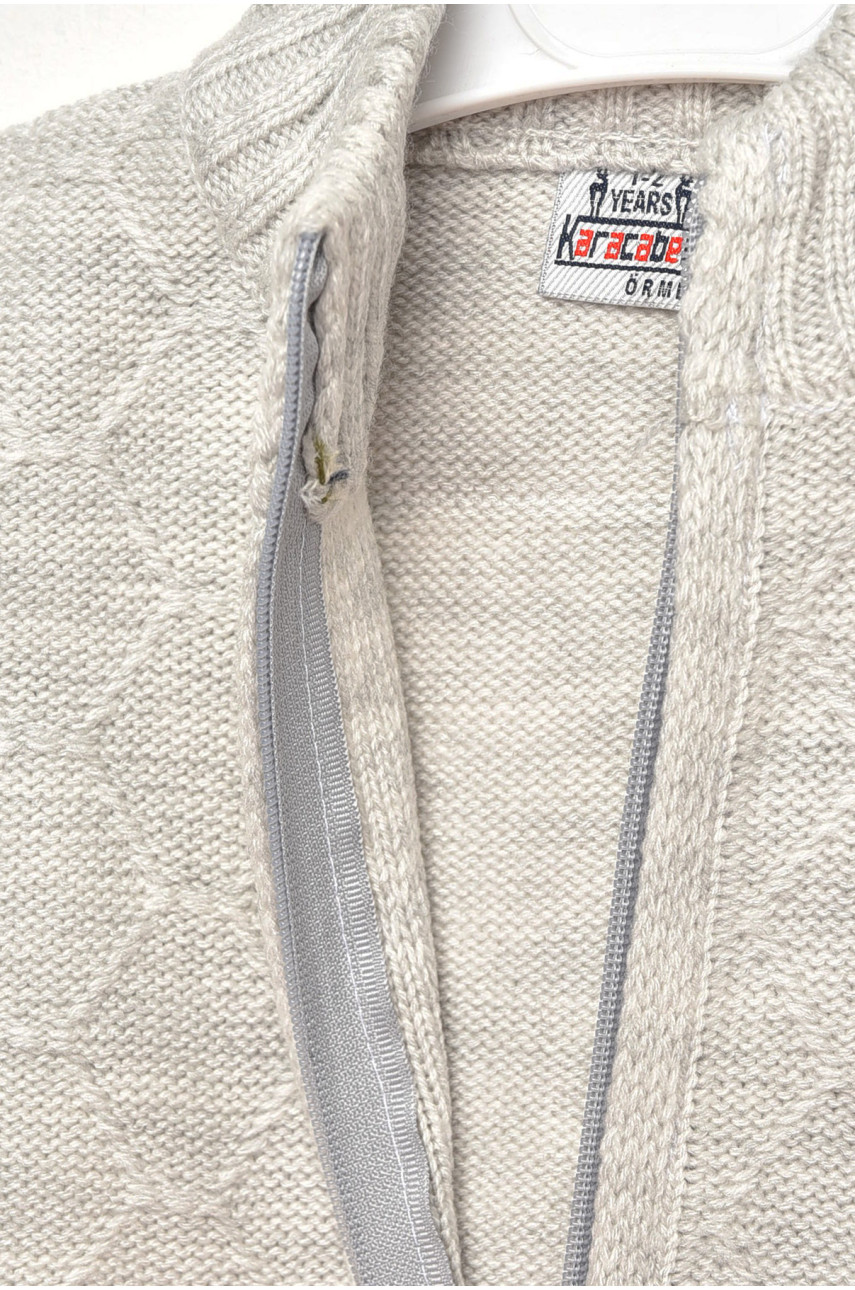 Кофта дитяча для хлопчика світло-сірого кольору 802 201717