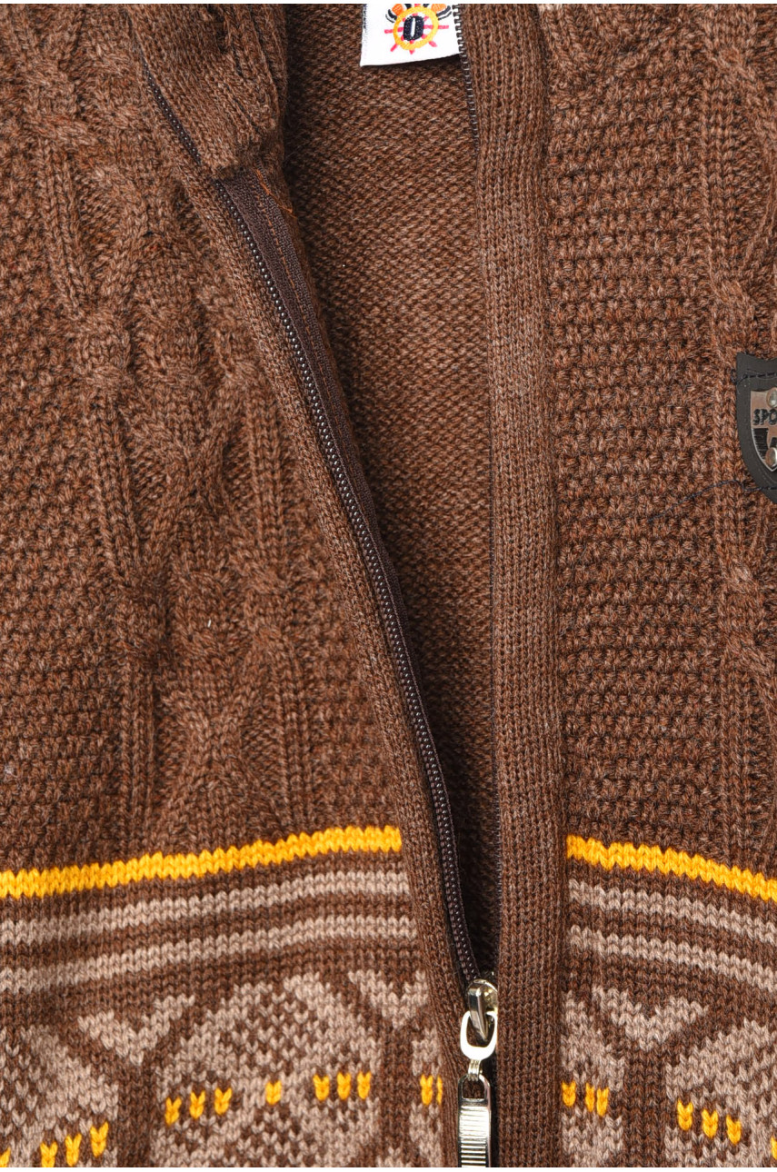 Кофта дитяча для хлопчика коричневого кольору 204 201718