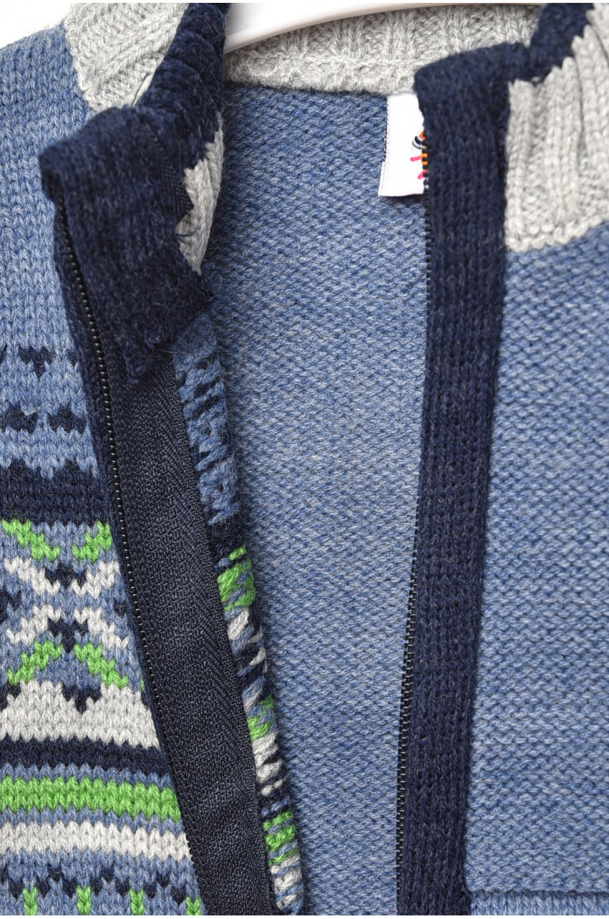 Кофта дитяча для хлопчика синього кольору з принтом 193 201731