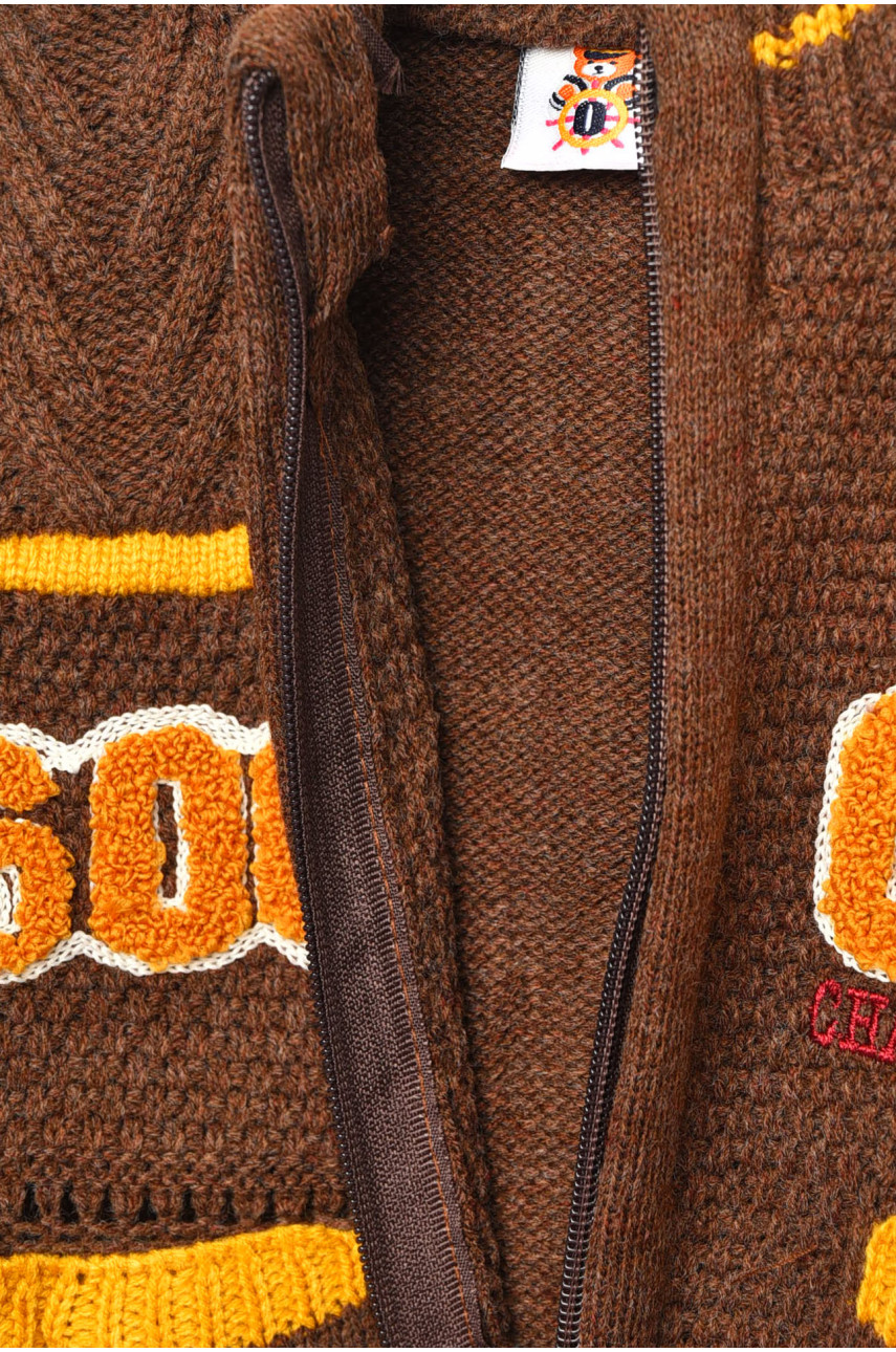 Кофта дитяча для хлопчика коричневого кольору 195 201735