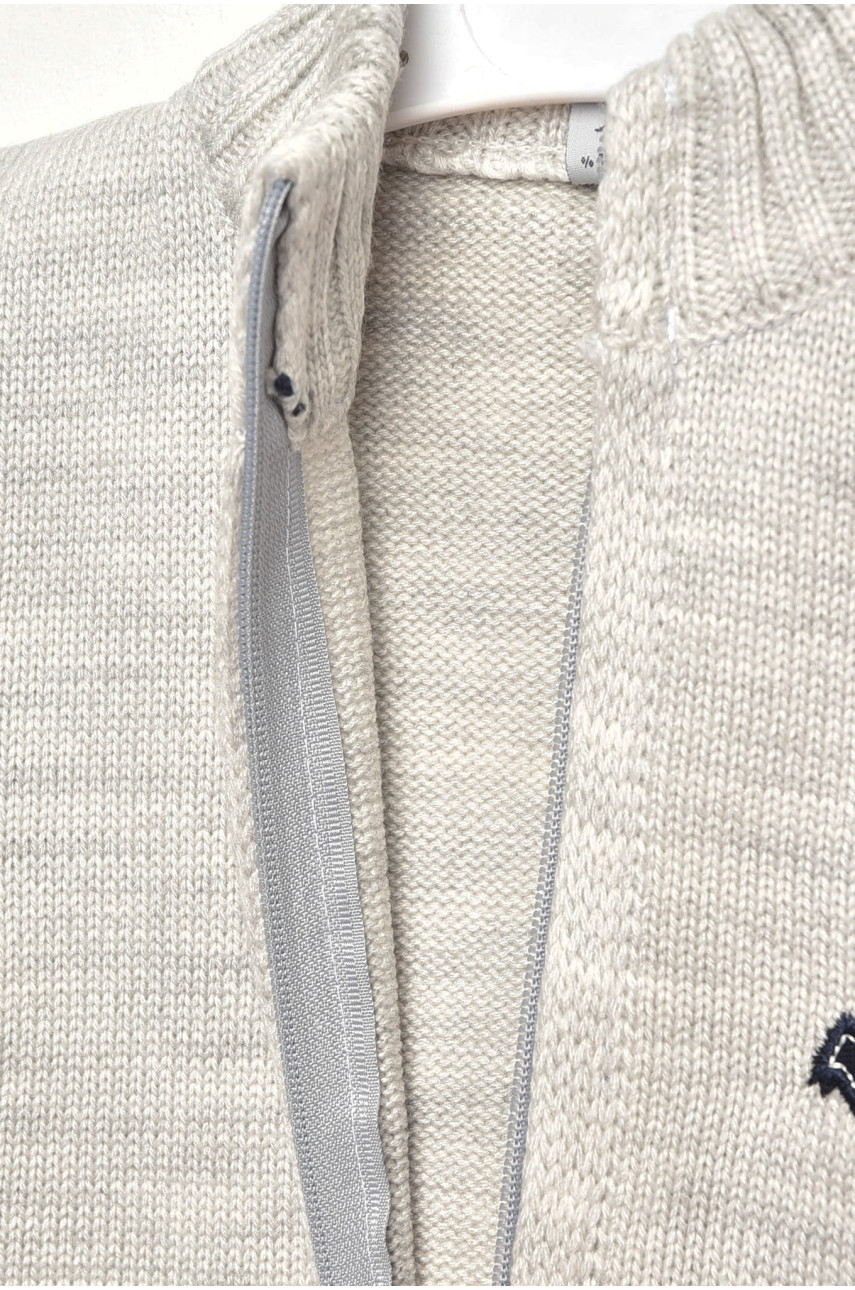 Кофта дитяча для хлопчика світло-сірого кольору 801 201738