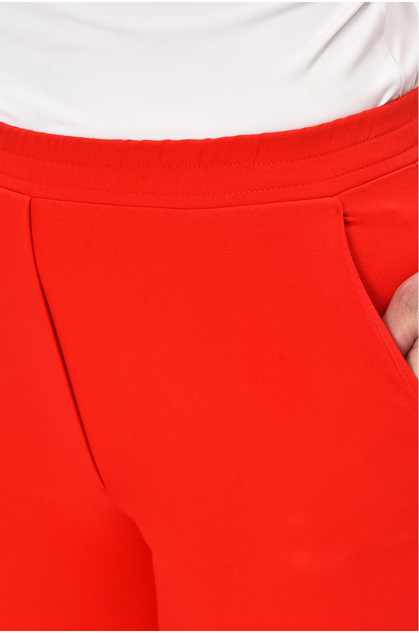 Штаны женские однотонные красного цвет 202615