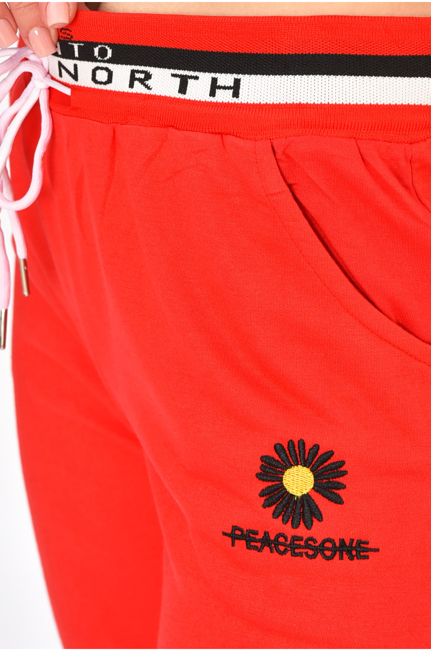 Спортивные штаны женские красного цвета 1088 202874 Спортивные штаны женские красного цвета 1088 202874