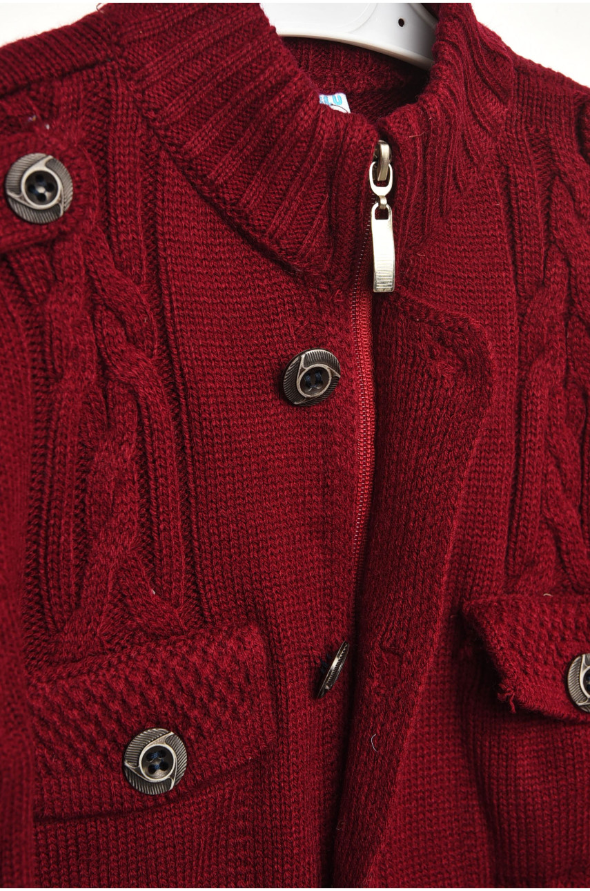 Кофта дитяча для хлопчика бордового кольору асорти 203010