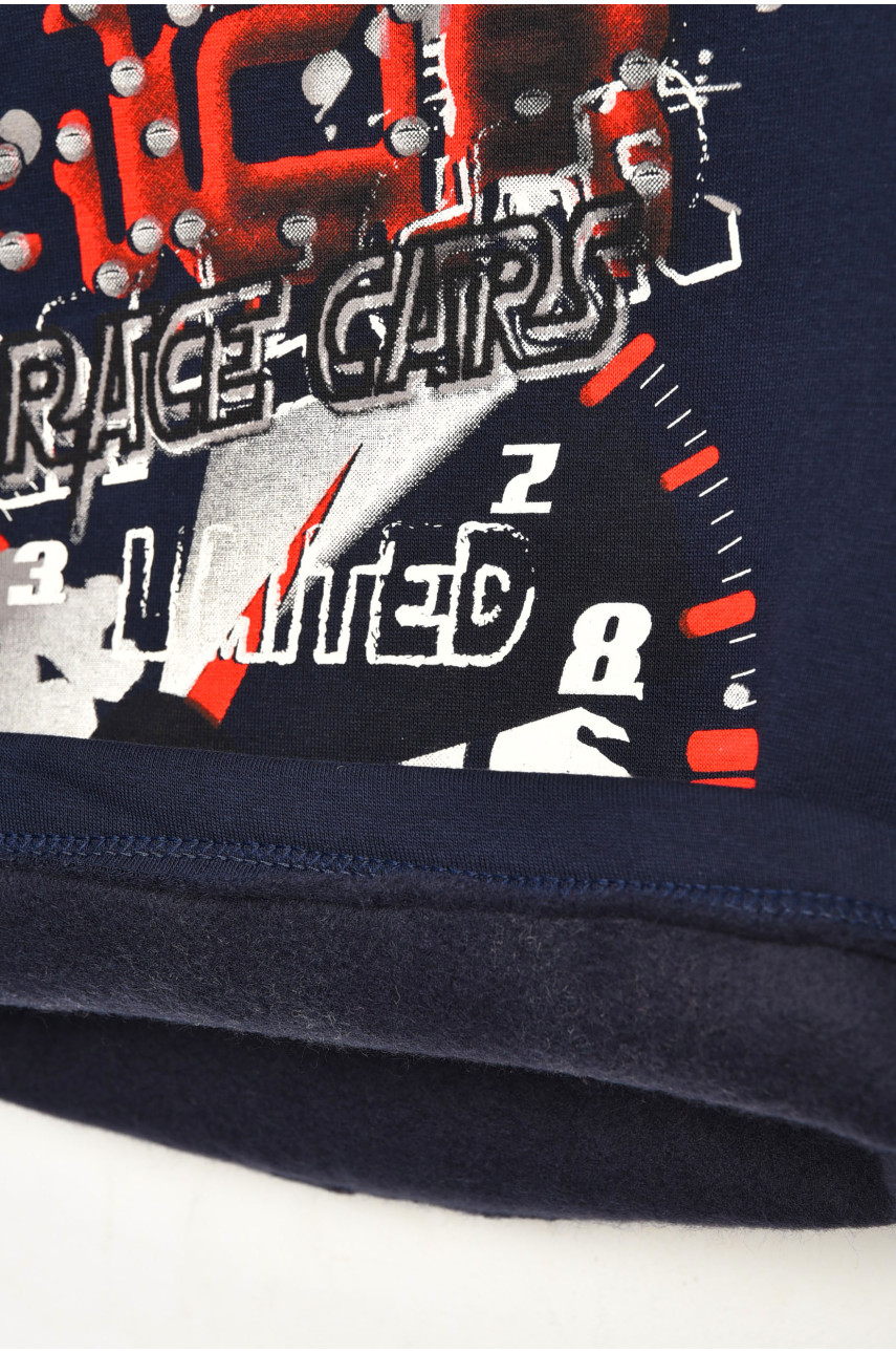 Костюм дитячий для хлопчика сіро-синього кольору на флісі асорти 203126 Костюм дитячий для хлопчика сіро-синього кольору на флісі асорти 203126