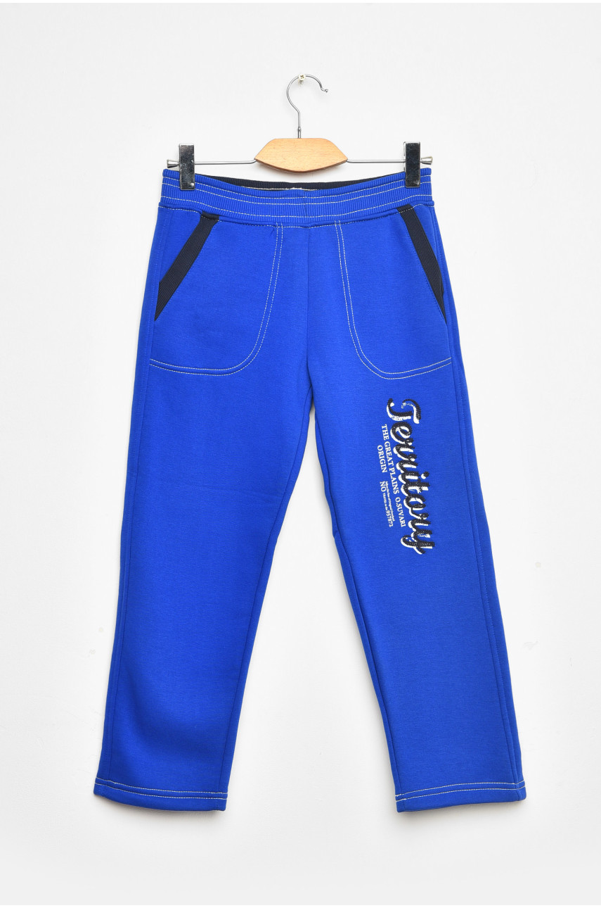 Штани дитячі для хлопчика синього кольору на флісі 203374 Штани дитячі для хлопчика синього кольору на флісі 203374
