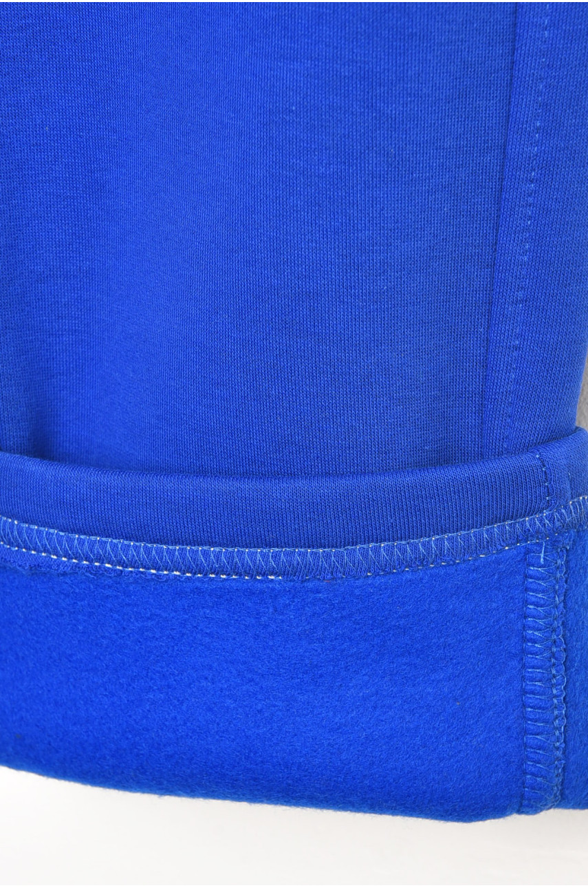 Штани дитячі для хлопчика синього кольору на флісі 203374 Штани дитячі для хлопчика синього кольору на флісі 203374