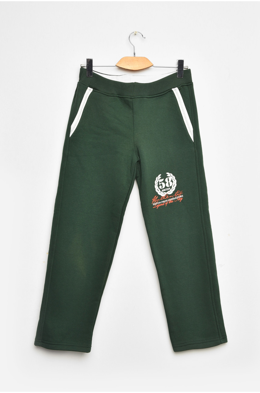 Штаны детские для мальчика тёмно-зеленого цвета на флисе 203375