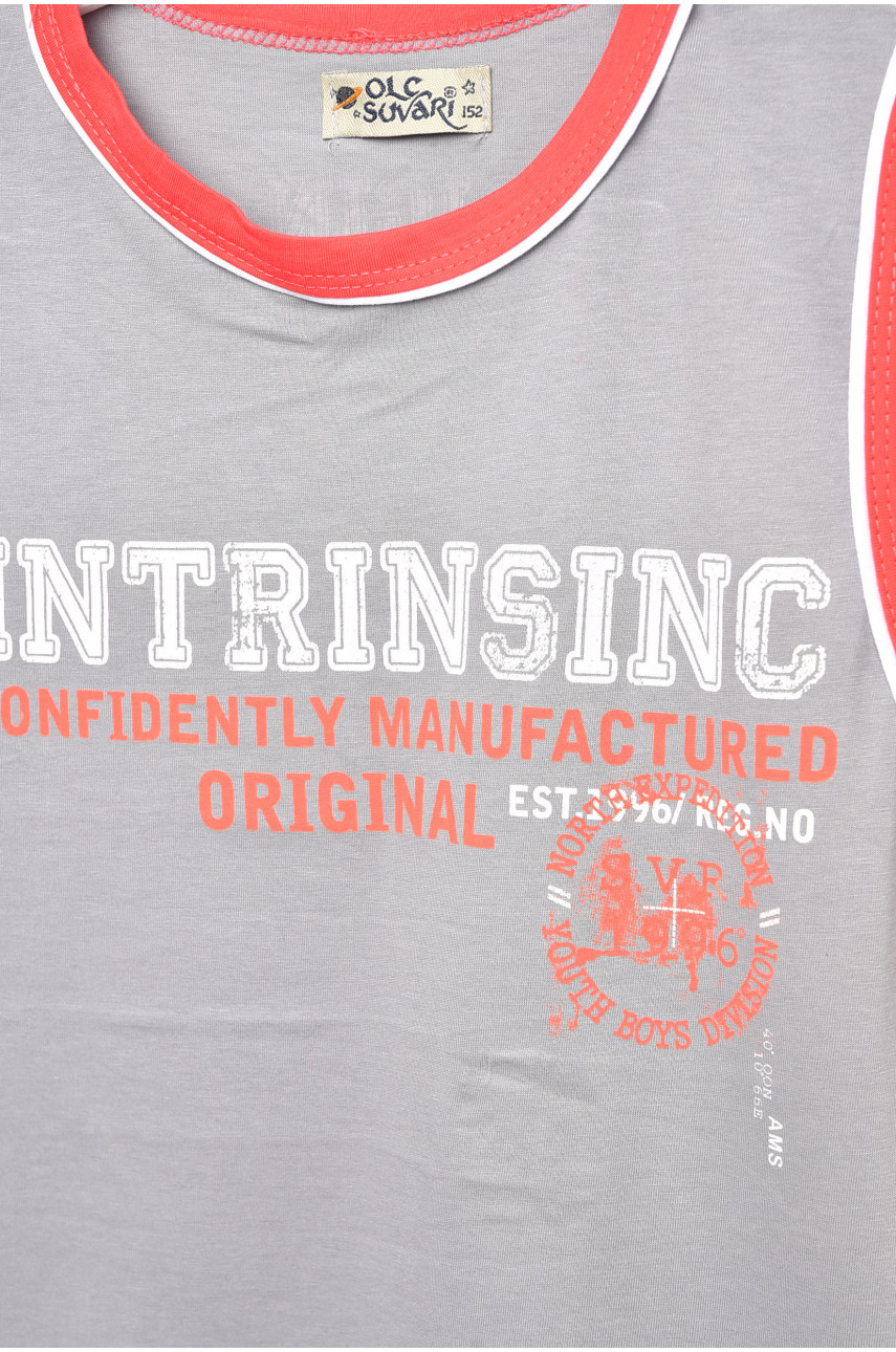 Майка детская для мальчика серого цвета с принтом 1096 203381 Майка детская для мальчика серого цвета с принтом 1096 203381