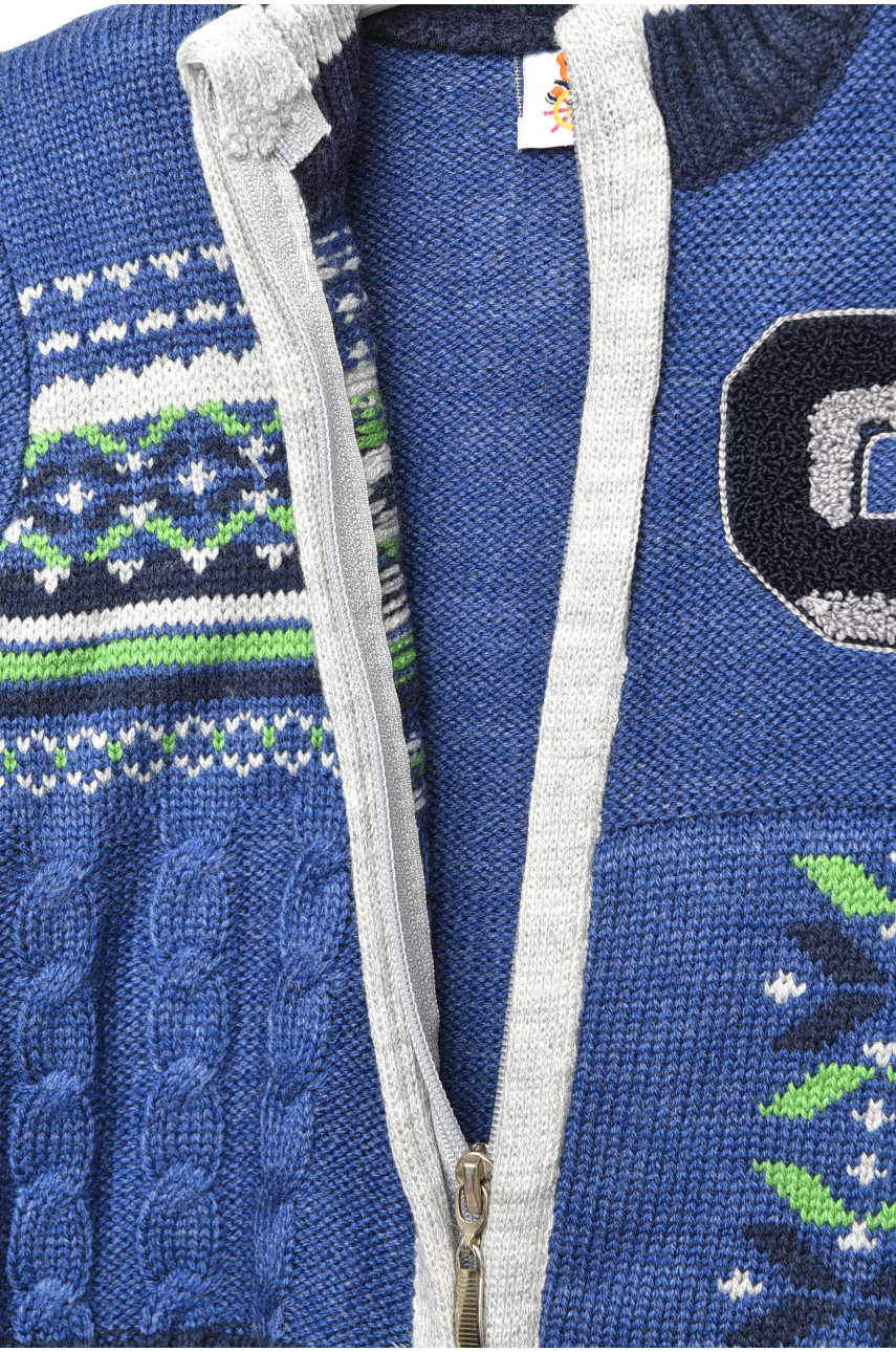 Светр дитячий для хлопчика синього кольору асорті 203392 Светр дитячий для хлопчика синього кольору асорті 203392