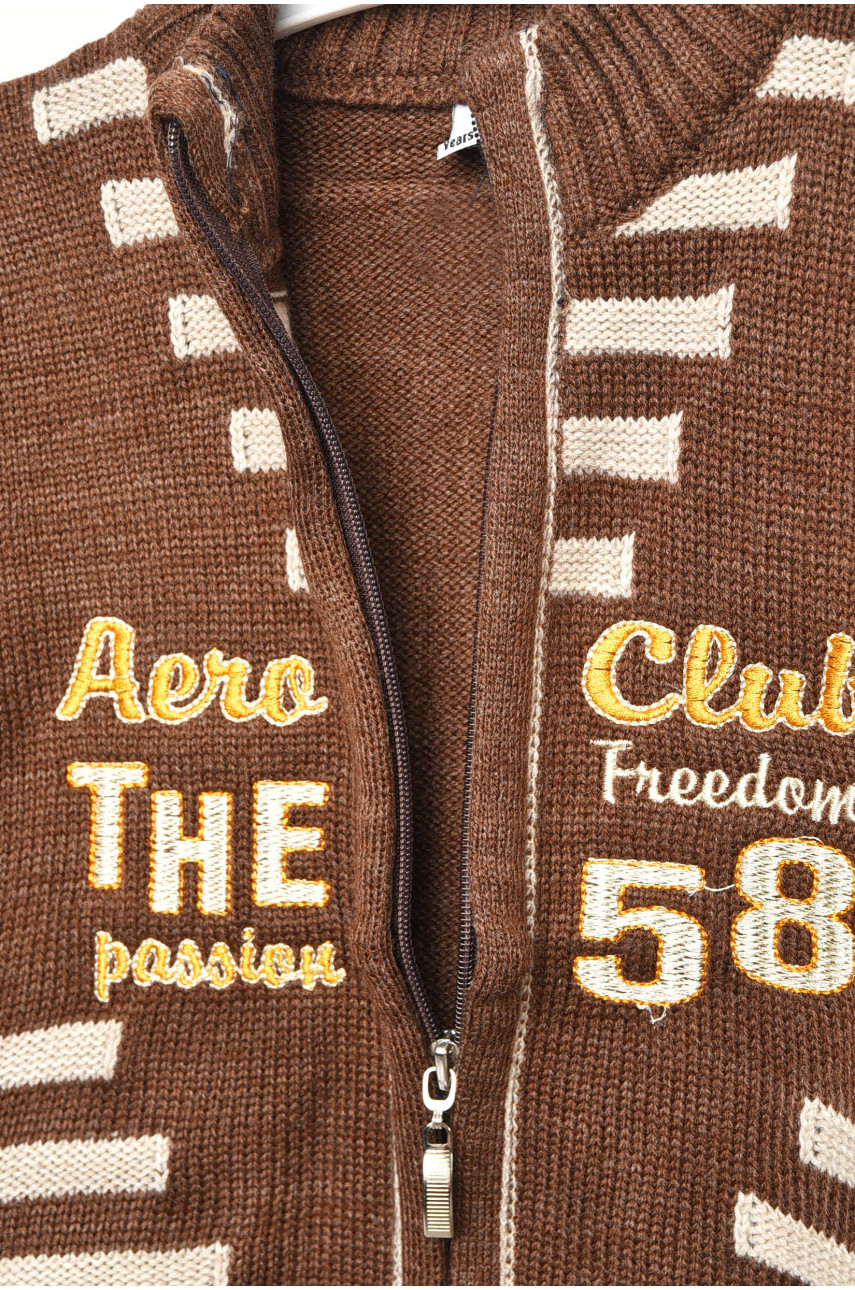 Кофта дитяча для хлопчика коричневого кольору 420 203419