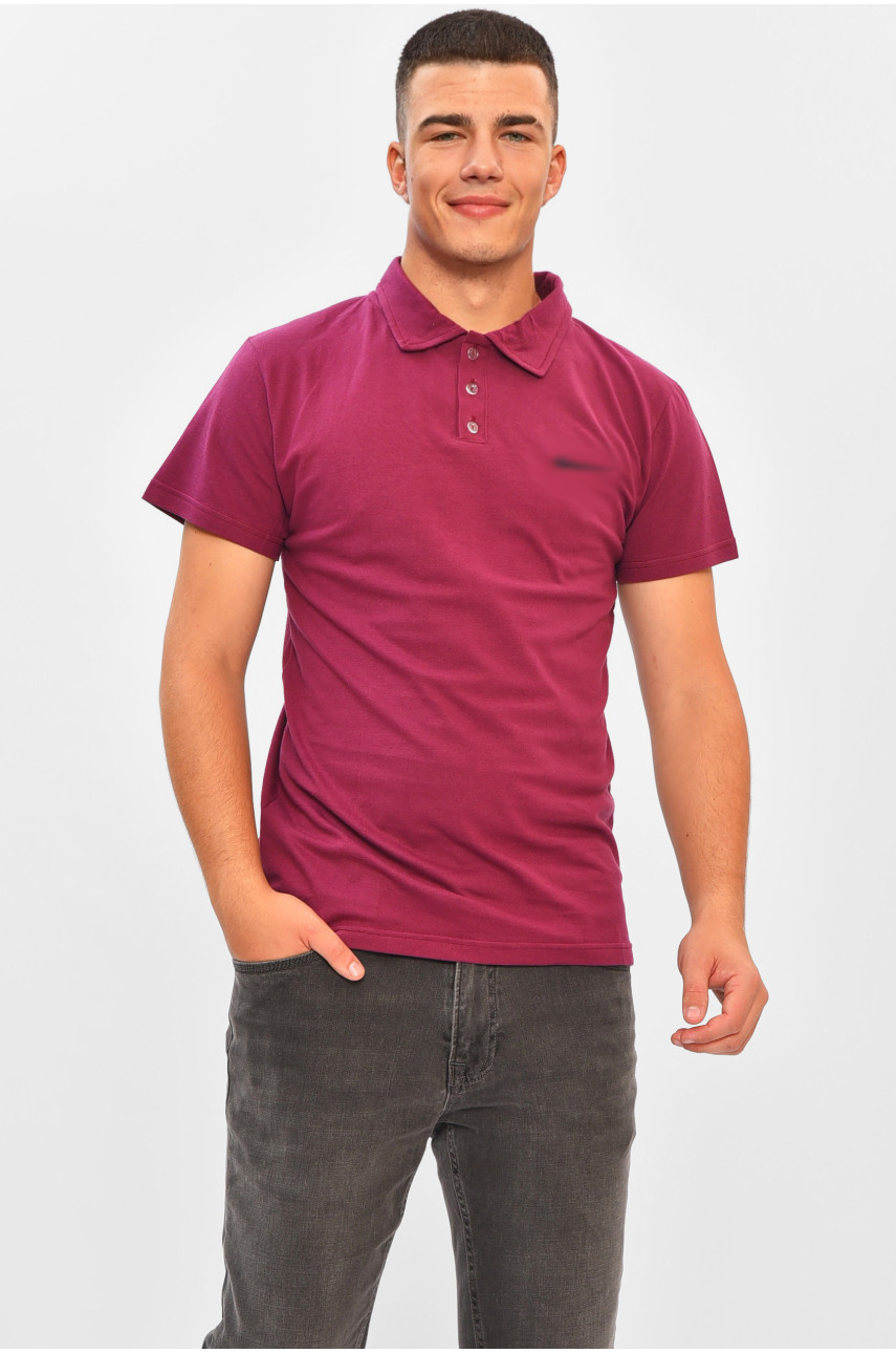 Футболка мужская поло однотонная фиолетового цвета 204067
