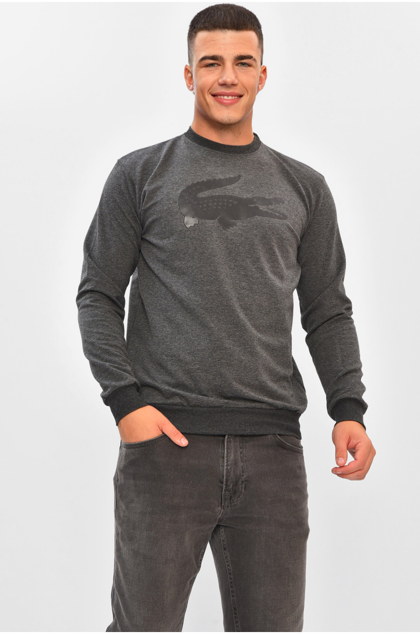 Світшот чоловічий темно-сірого кольору з принтом 204098 Світшот чоловічий темно-сірого кольору з принтом 204098