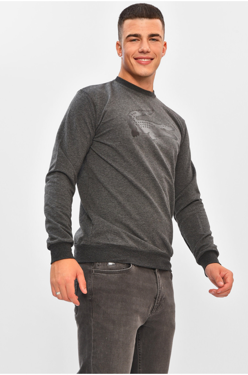 Світшот чоловічий темно-сірого кольору з принтом 204098 Світшот чоловічий темно-сірого кольору з принтом 204098