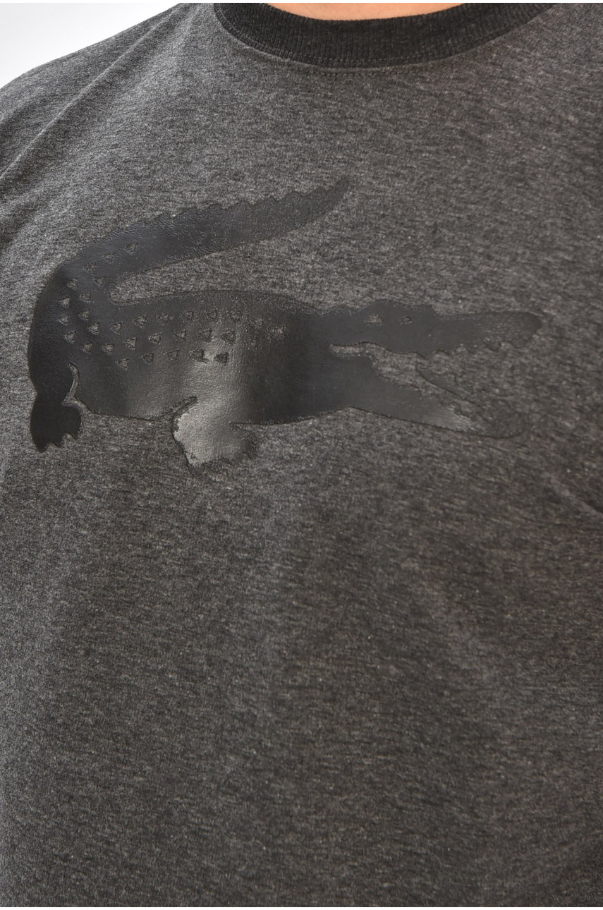 Світшот чоловічий темно-сірого кольору з принтом 204098 Світшот чоловічий темно-сірого кольору з принтом 204098