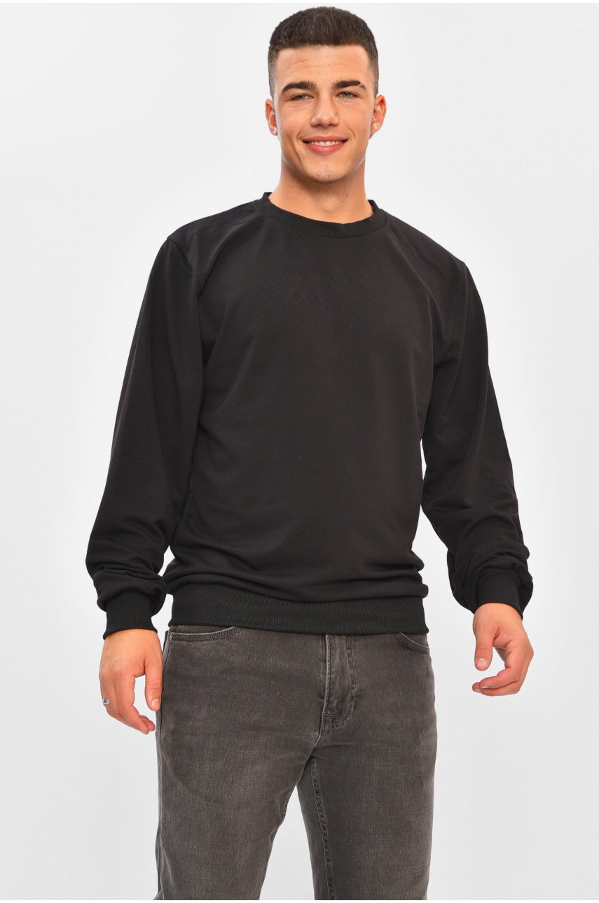 Кофта мужская однотонная черного цвета 204104