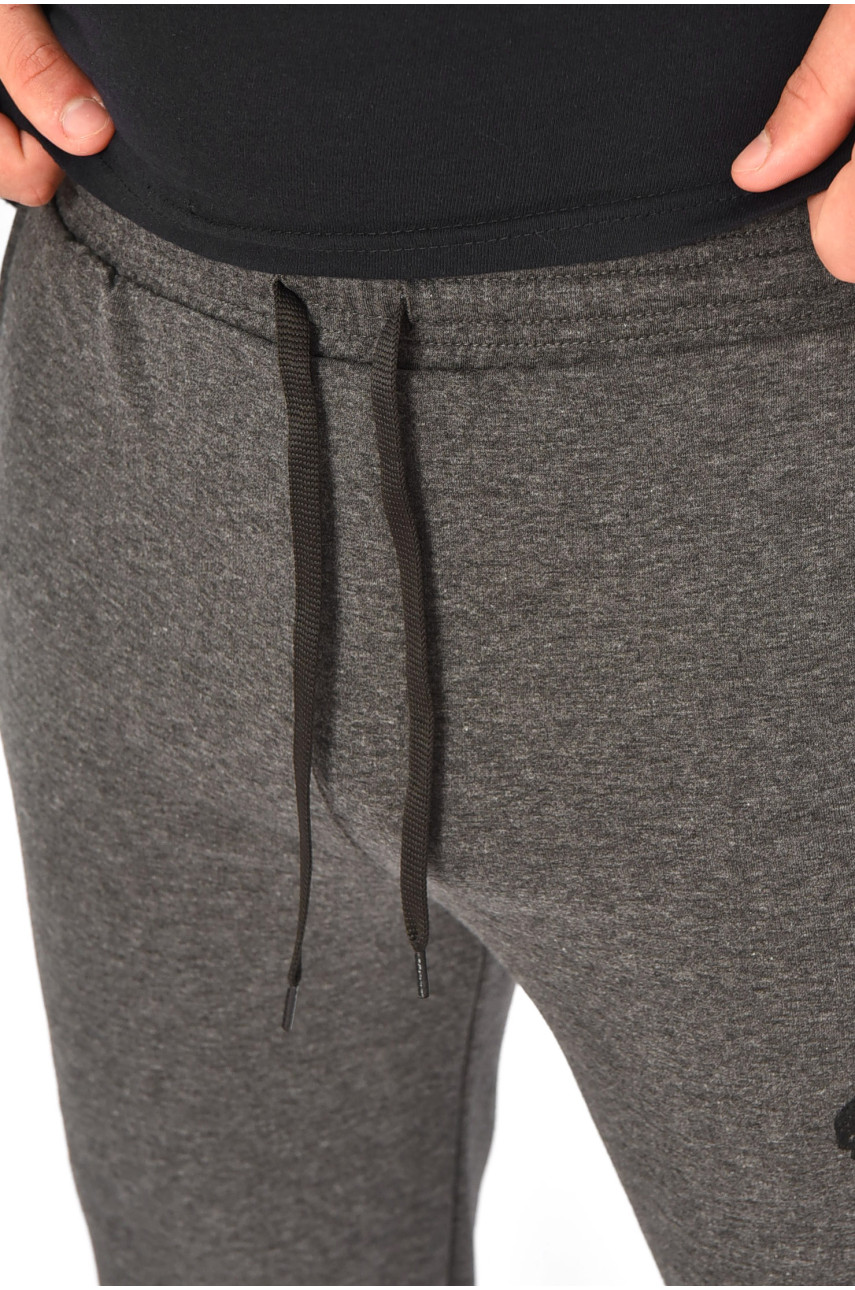 Спортивные штаны мужские серого цвета 204153