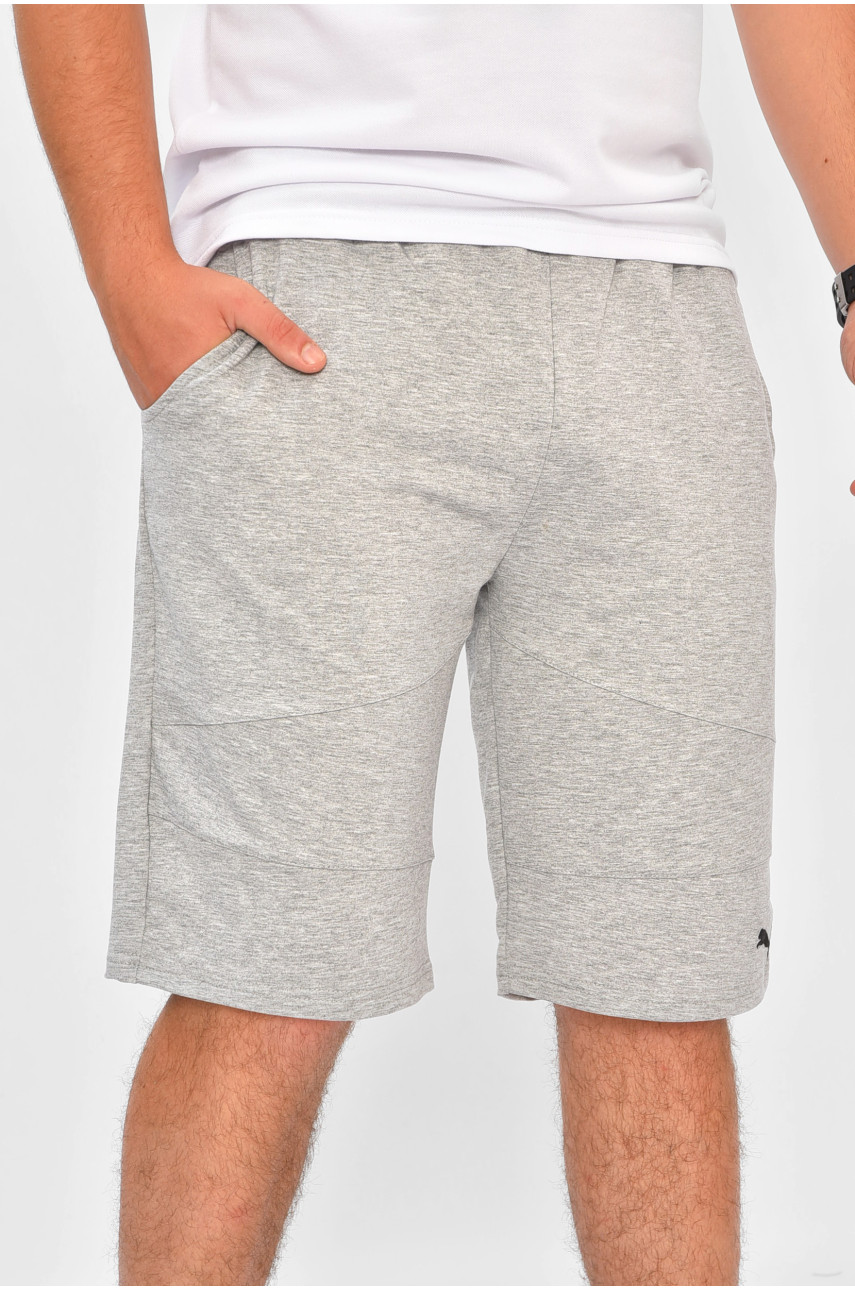 Шорты мужские однотонные светло-серого цвета 204270 Шорты мужские однотонные светло-серого цвета 204270