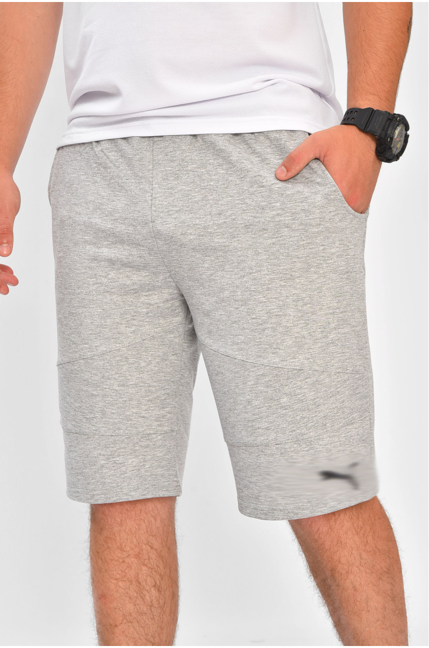 Шорты мужские однотонные светло-серого цвета 204270 Шорты мужские однотонные светло-серого цвета 204270