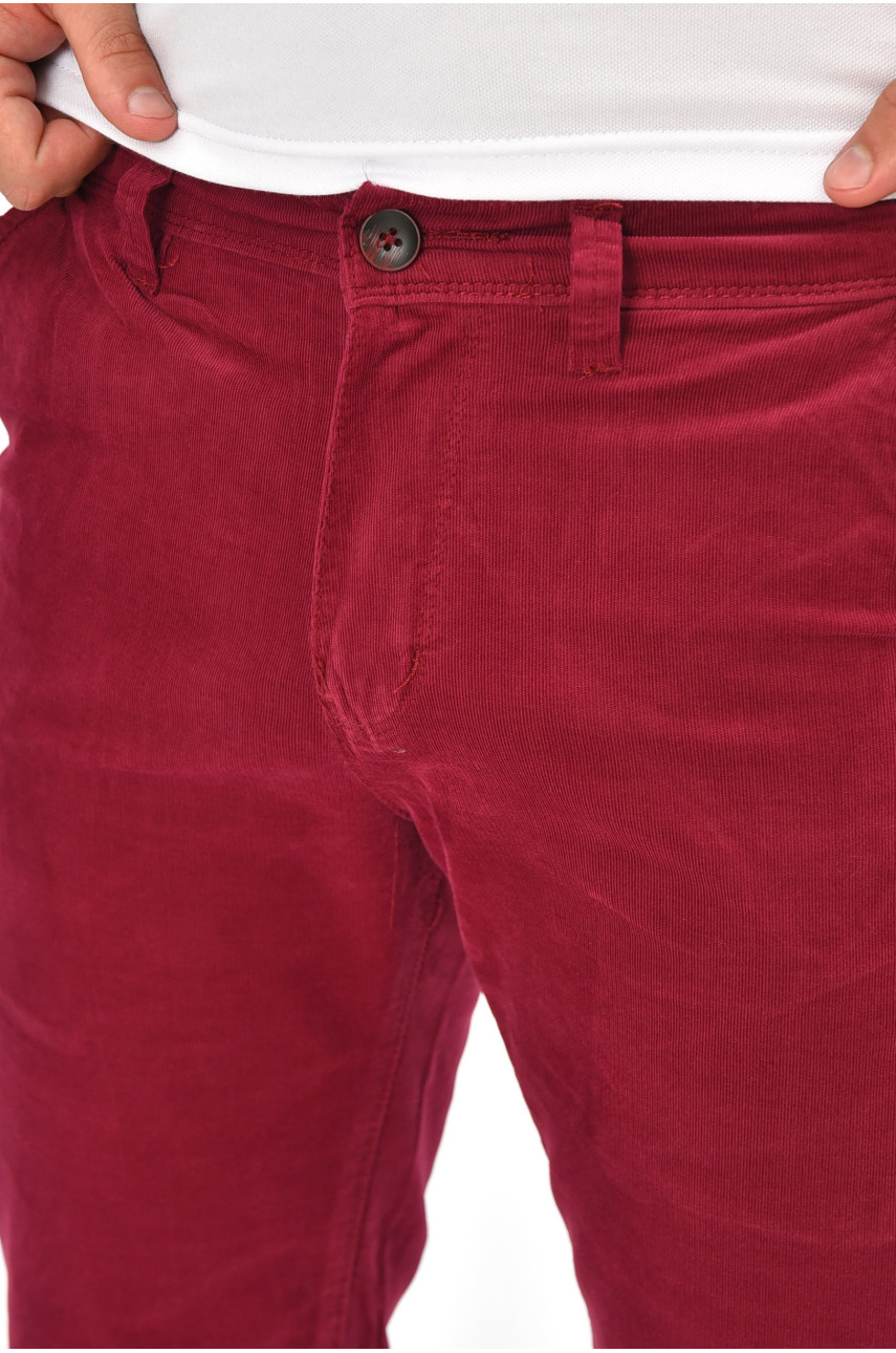 Бриджи мужские микровельветовые бордового цвета LS14-0017 204447 Бриджи мужские микровельветовые бордового цвета LS14-0017 204447