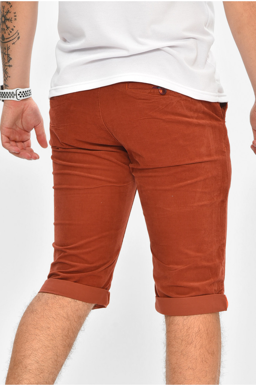 Бриджи мужские микровельветовые терракотового цвета LS14 204448 Бриджи мужские микровельветовые терракотового цвета LS14 204448