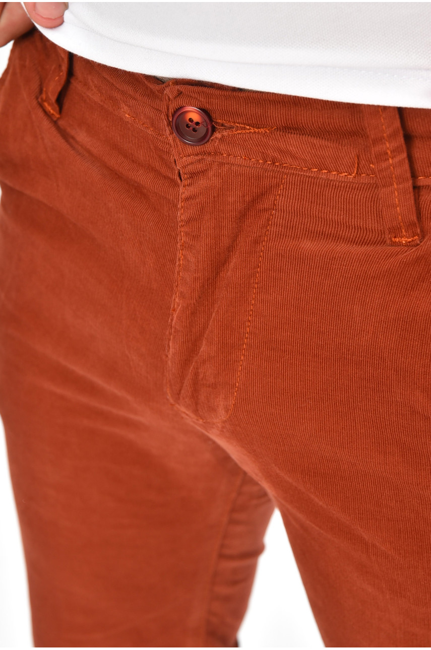 Бриджи мужские микровельветовые терракотового цвета LS14 204448 Бриджи мужские микровельветовые терракотового цвета LS14 204448