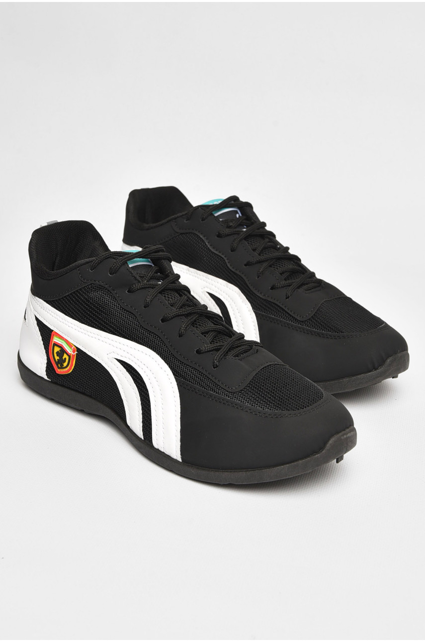 Кеды мужские черного цвета SD-6 204713