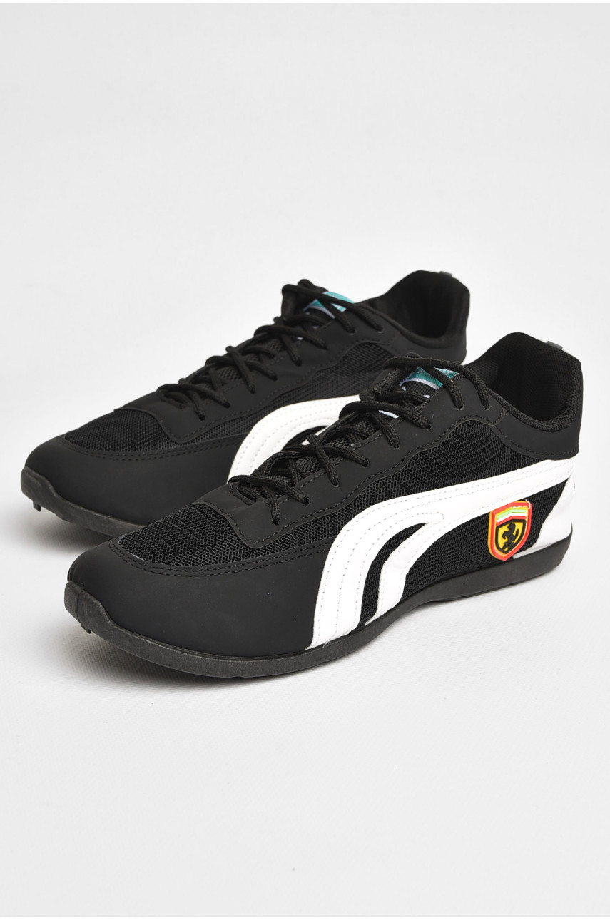 Кеды мужские черного цвета SD-6 204713