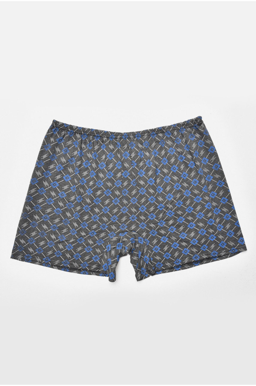 Труси сімейні чоловічі батальні сірого кольору 205299