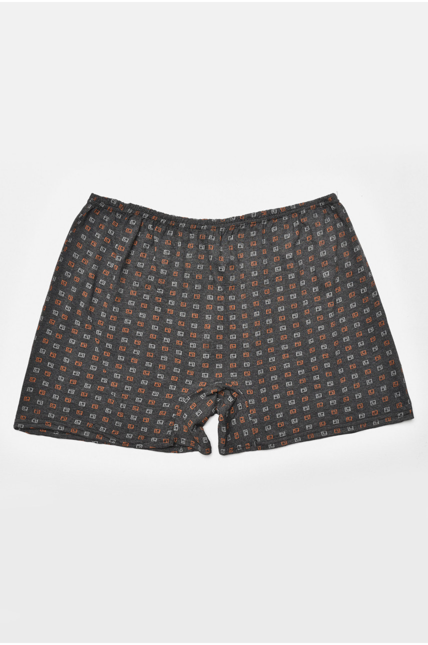 Труси сімейні чоловічі батальні сірого кольору 205304