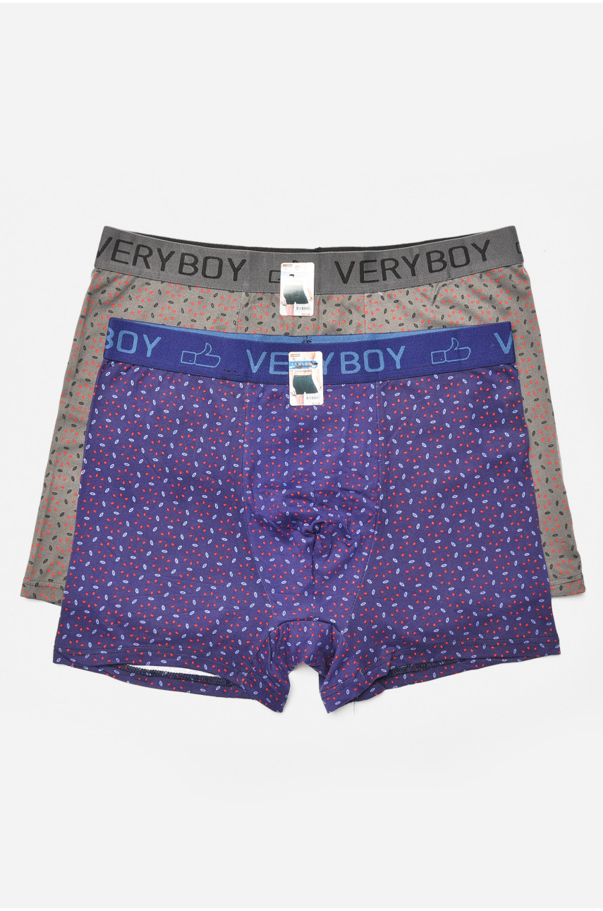 Набор мужских боксеров 2 штуки 6222 205384